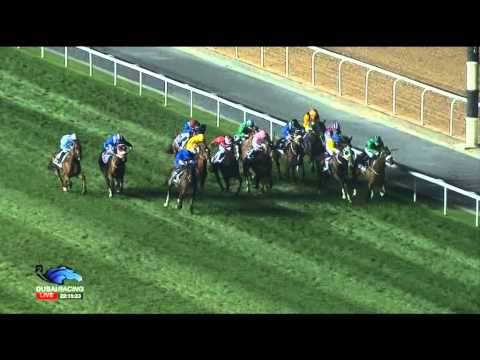 29.01.2015 Meydan (Dubai/UAE) 7.Race EGA Potlines Trophy - Handicap 2.000 m