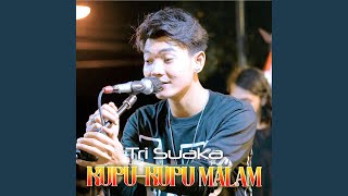 Download lagu Kupu-Kupu Malam mp3 Download lagu Kupu-Kupu Malam mp3