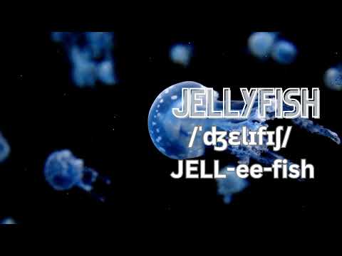 How to pronounce Jellyfish? - Sea animals in British English