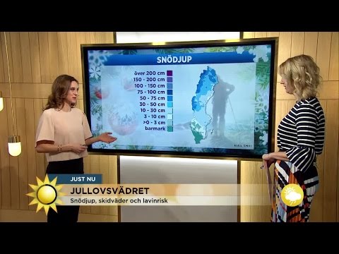 Kallt i dag - men mildare väder på gång - Nyhetsmorgon (TV4)