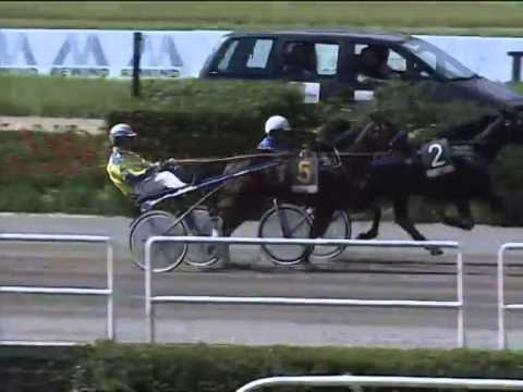 Trotto 18/05/2014 Corsa 3