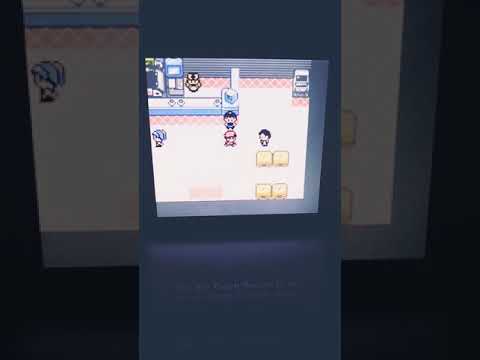 Pokemon Gold - Item Glitch + Duplicating Pokemon