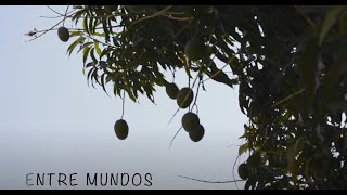 Entre Mundos - um documentário amador por Aline Xavier, entre Brasil e Alemanha.