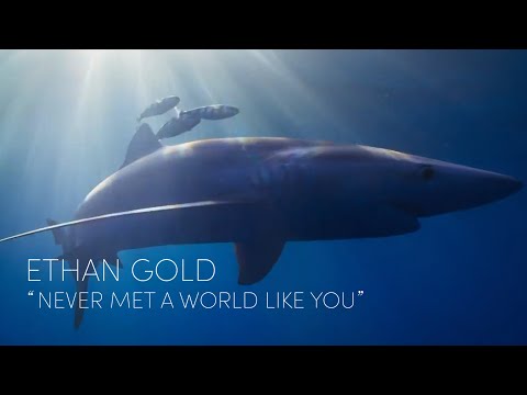 Ethan Gold - Never Met a World Like You