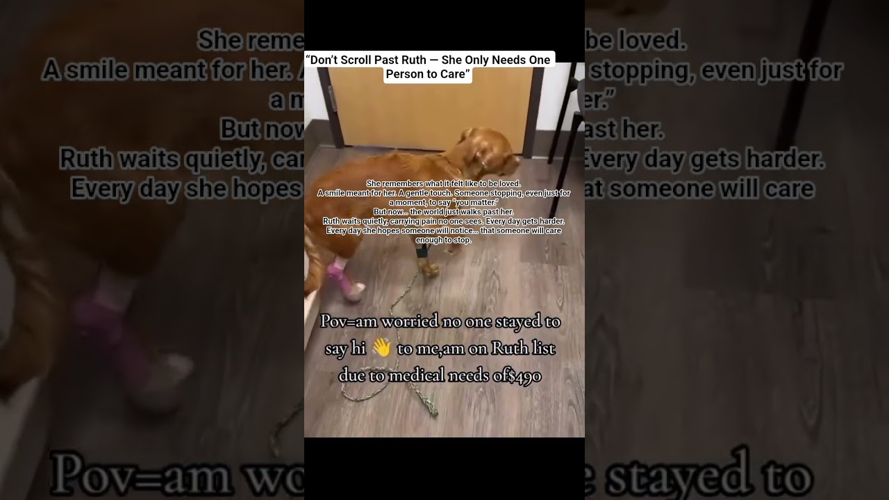 “Don’t Scroll Past Ruth — She Only Needs One Person to Care”