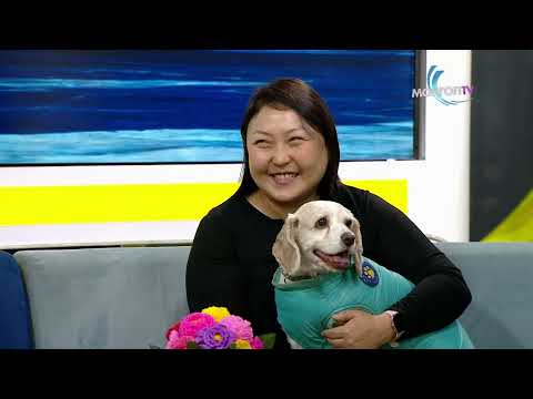 Өнөө Өглөө - "Өхөөрдөм хөөрхөн Жижи нохой хэдэн настай юм бол?"