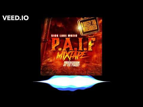 Major Payne - D Breezy Tha Mixedbreed x Sick Lake Muzic (P.A.I.F)
