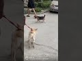 Mud Mud Ke Na Dekh Mujhe Mud Mud Ke