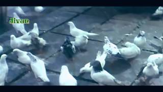 Aashiqui Mein Har Aashiq - Dil Ka Kya Kasoor (1992) Special Editing