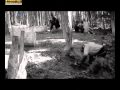 Tippmann Challenge UK Promo Movie