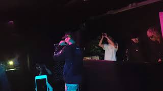 Colde - Your Dog Loves You