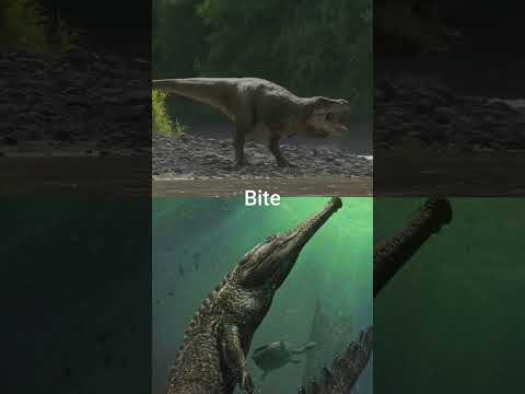 Tyrannosaurus rex vs Machimosaurus rex #shorts