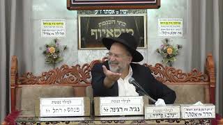 הרב דוד אדרי | מידות ודרך ארץ | בית הכנסת מוסאיוף (בית הכנסת מוסאיוף) - התמונה מוצגת ישירות מתוך אתר האינטרנט יוטיוב. זכויות היוצרים בתמונה שייכות ליוצרה. קישור קרדיט למקור התוכן נמצא בתוך דף הסרטון