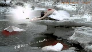 Where It Hurts ~  Pain of Salvation ~ Nelly ♥ இڿڰۣ-ڰۣ★