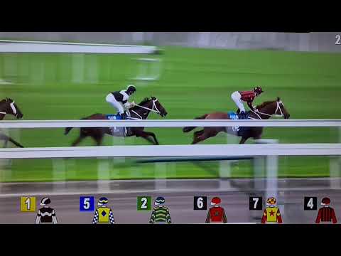 Exultant-hong kong racing-zac purton