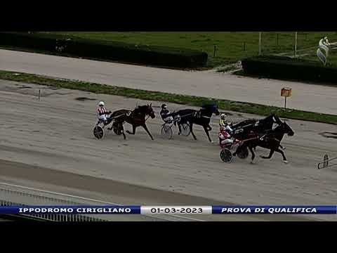 Aversa trotto 1 Marzo 2023 - Prova di qualifica