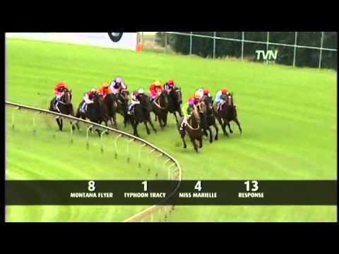 2010 Queen of the Turf Stakes