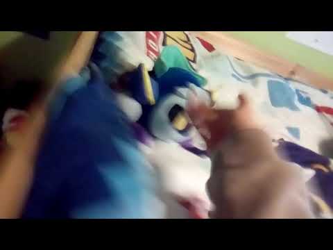 Smash and louds and stuffs