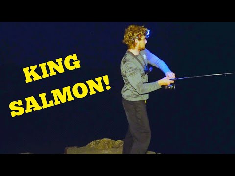 Pier Fishing KING SALMON - Epic Battles from Shore!
