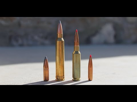 6.5 Creedmoor vs 300 Win Mag: What You Know May Be Wrong