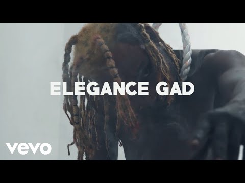 EleganceGad - Insanity (Official Music Video)