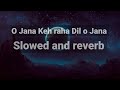 O Jana Keh Raha Hai Dil O Jana Slowed And Reverb Lofi Song Reverb Vibes T Series
