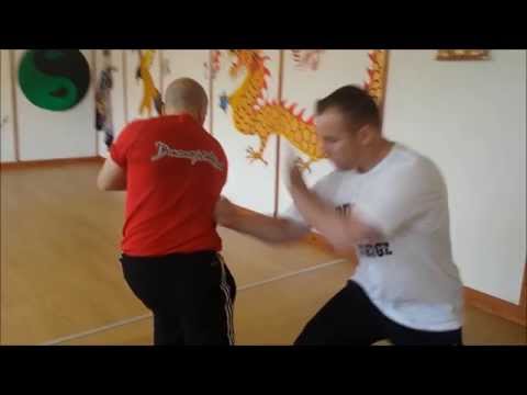 Dragonstyle Kungfu Techniques Application and Power Direction