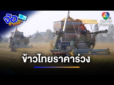 ชาวนาอ่วม ! ข้าวอินเดียบุกตลาด ทำราคาข้าวร่วงทั้งวงจร | จ้อข่าวเช้า