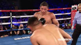 Best Boxing Highlights of 2017