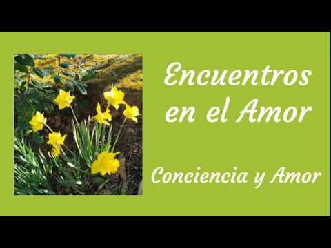 Conciencia y Amor