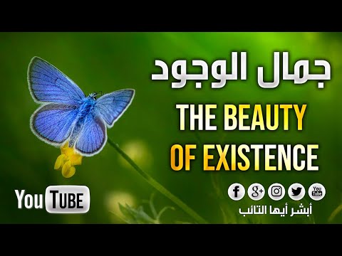 جمال الوجود محمد المقيط