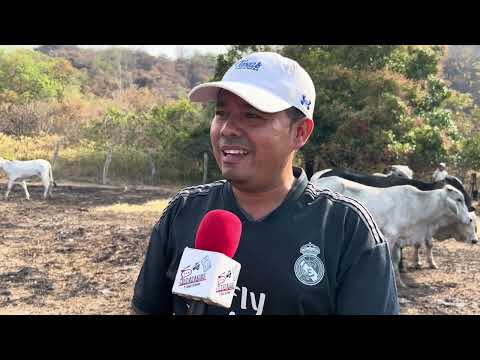 🚨🔥 ¡LO PERDIERON TODO! INCENDIOS DEVORAN EL TOLIMA | CAMPESINOS PIDEN AYUDA Y SOLIDARIDAD