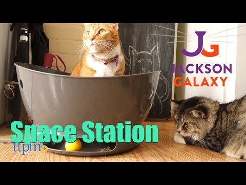 jackson galaxy space station