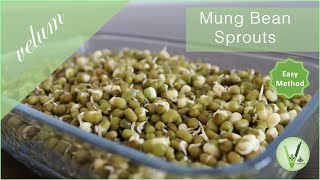 Mung Bean Sprouts | Without Muslin Cloth | How to make Mung Bean / Green Gram Sprouts | Easy Method