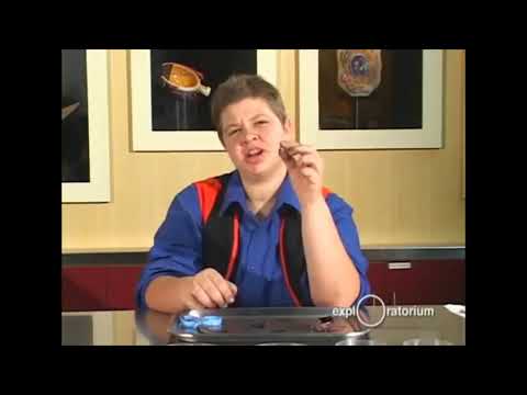 Science With Sandy Episode 8 Eye Dissection