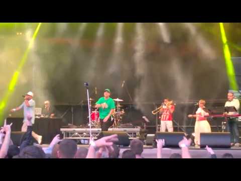 Sub Bass Monster / Animal Cannibals