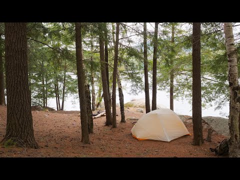 Solo Northern Wilderness Camp with my Dog - Wind, Rain & Calm