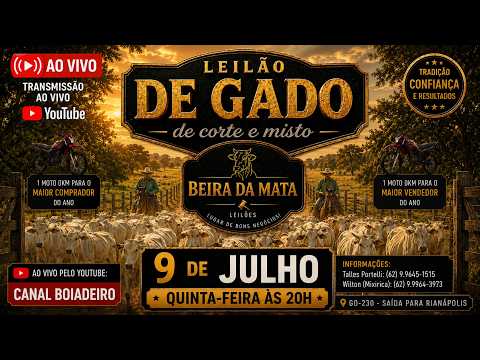 Beira da Mata Leilões - Uruana GO - Leilão de Gado de Corte em Goiás @canal.boiadeiro #live #gado