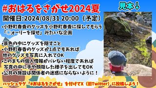 【 #おはるをさがせ2024夏 】🌸〇ォーリーを探せみたいな企画🌻【 小野町春香/にじさんじ 】