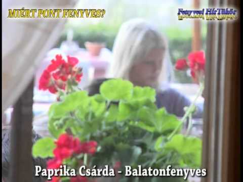 Fenyvesi Hírtükör REKLÁM_5