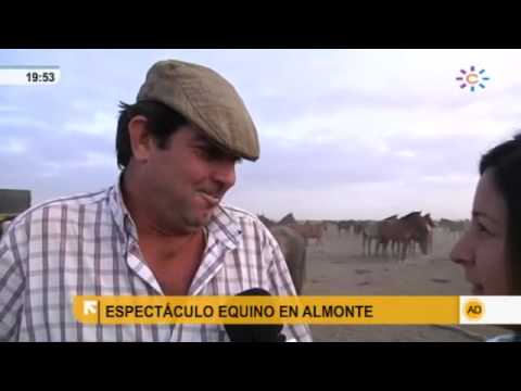 Saca de las yeguas de Doñana