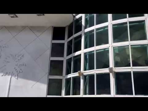 Miami ePrix paddock and start-finish FIA Formula E