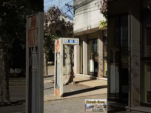 El Belgrano Norte por Ramallo? Pérez Millán #trenesargentinos #canalmarcelogreco #turismobuenosaires