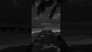 Download lagu Malang Sajna ❤🥀🥰ll Slowed reverb song status lyrics video ll #lofi #aesthetic #love mp3 Download lagu Malang Sajna ❤🥀🥰ll Slowed reverb song status lyrics video ll #lofi #aesthetic #love mp3