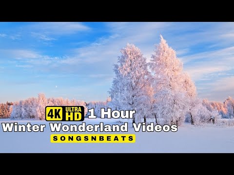 Norway 4K Winter Wonderland Film - Meditation Relaxing Music - Winter Scenery