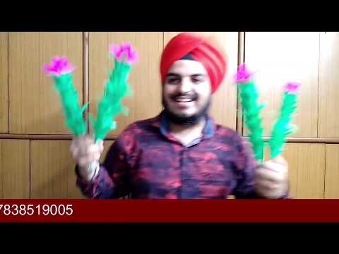 New Flower Magic Gurdeep Singh Babbar (M):  7838519005 Delhi, INDIA