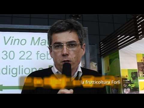 Pillole di AgriCultura di Liliana Minetti - La fragola