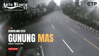 LIVE CCTV Jalur Puncak Agrowisata Gunung Mas | Arah Gadog 24 Jam — by Cemerlang CCTV live webcam