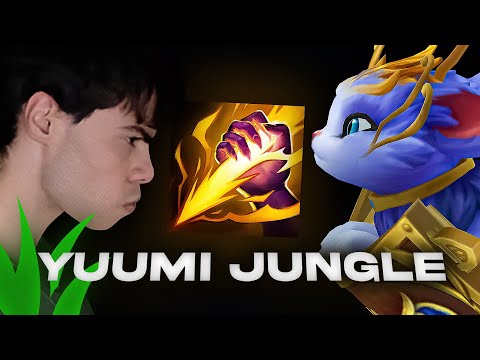 I played Yuumi Jungle... and got banned for it