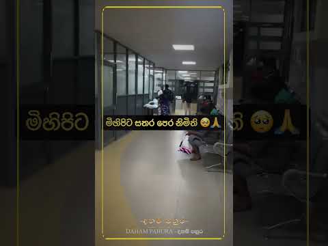 මිහිපිට සතර පෙර නිමිති.. #thero #bana #බණ #dharmadeshana